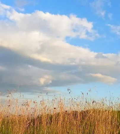 Daire Popovic - Gorstak Divčibare