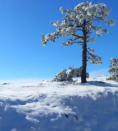Popovic - Gorstak Divčibare