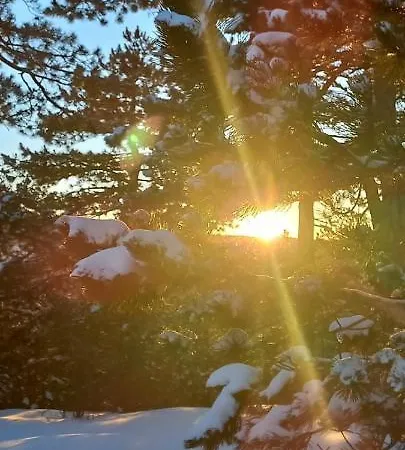 Popovic - Gorstak Daire *