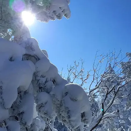 Popovic - Gorstak Daire