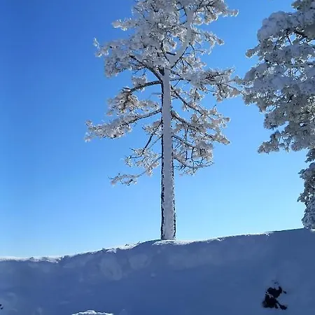 Popovic - Gorstak Daire *