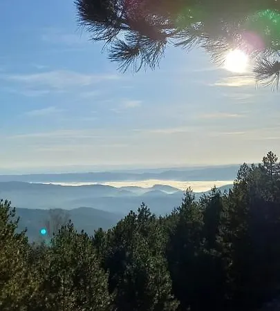 Daire Popovic - Gorstak Divčibare