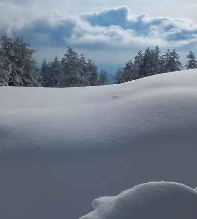 Popovic - Gorstak Daire