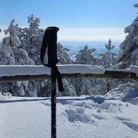 Daire Popovic - Gorstak