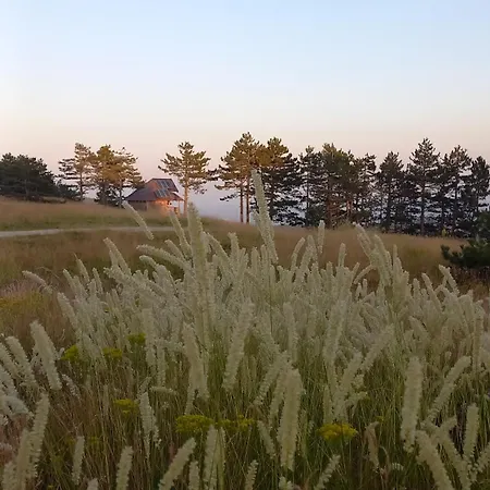 Popovic - Gorstak * Divčibare