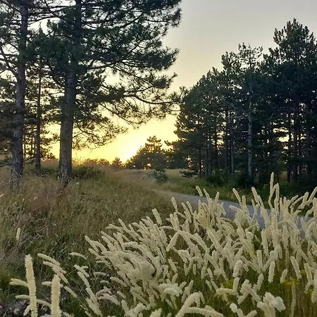 Popovic - Gorstak Daire