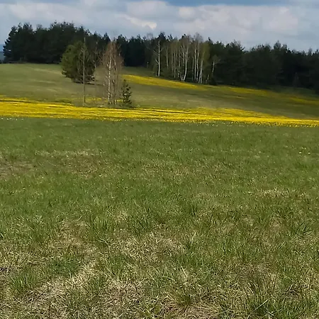 Popovic - Gorstak * Divčibare